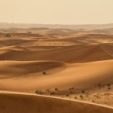 Profile picture of صحرائی